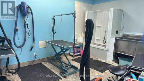 4 - 595 Carlton Street, St. Catharines (Carlton/Bunting), ON 
