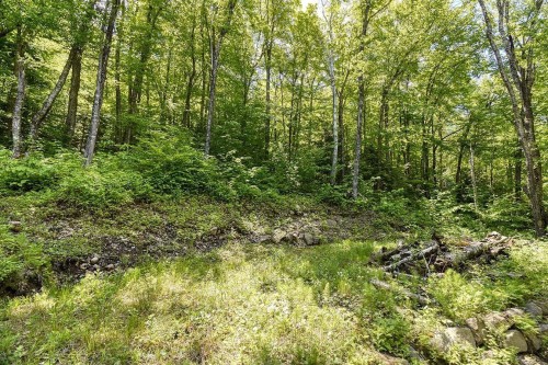 Autre - Lac-Des-Écorces, Barkmere, QC 
