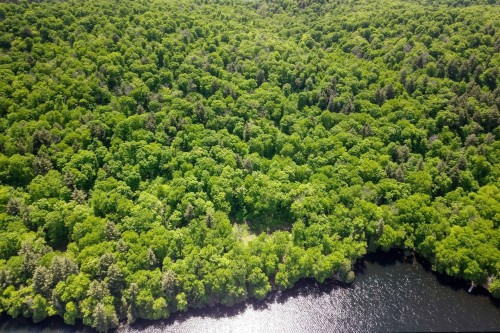 Vue d'ensemble - Lac-Des-Écorces, Barkmere, QC 