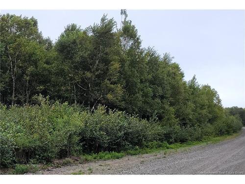 501 Fundy Dr, Wilsons Beach, NB 