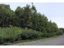 501 Fundy Dr, Wilsons Beach, NB 