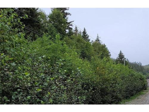 341 Fundy Dr, Wilsons Beach, NB 