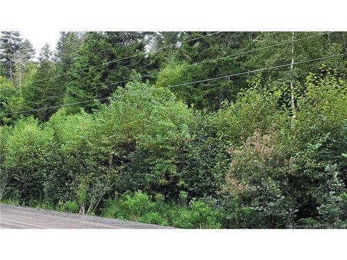 341 Fundy Dr, Wilsons Beach, NB 