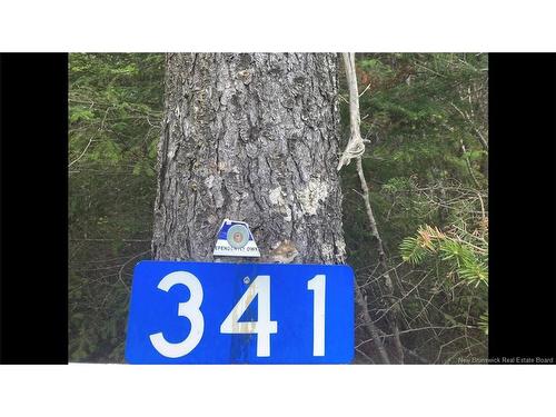 341 Fundy Dr, Wilsons Beach, NB 