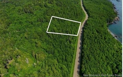 341 Fundy Dr, Wilsons Beach, NB 