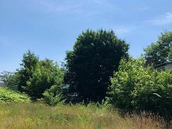 0 Pierce Street North Sydney, NS B2A 1M7