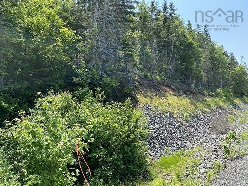 0 Cabot Trail, Tarbot, NS 