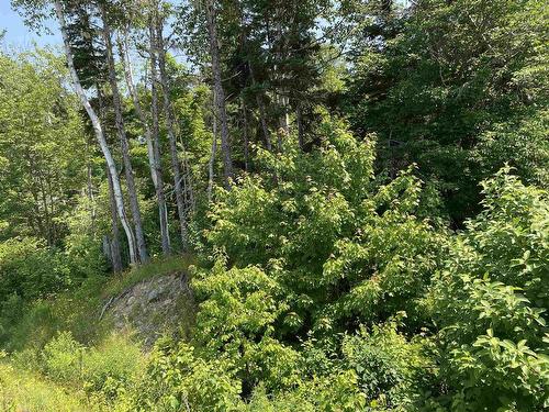 0 Cabot Trail, Tarbot, NS 