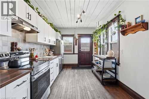 16 Burris Street, Hamilton, ON - Indoor Photo Showing Kitchen With Upgraded Kitchen