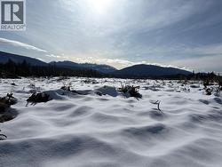 1020 Forest Service Road Seymour Arm Road Seymour Arm, BC None