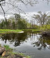 2348 NORTHEY'S BAY ROAD North Kawartha, ON K0L 2H0