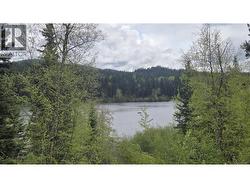 5858 MAHOOD LAKE ROAD Lone Butte, BC V0K 1X3