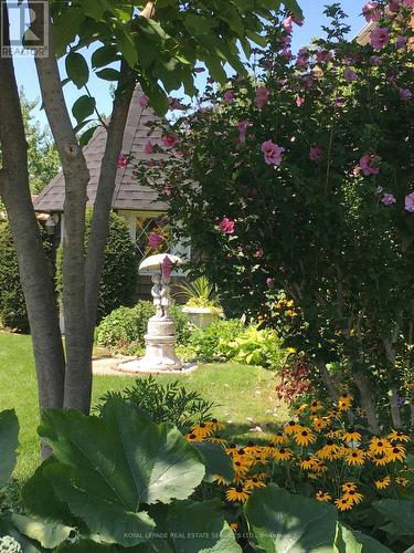 4085 Twine Crescent, Mississauga, ON - Outdoor