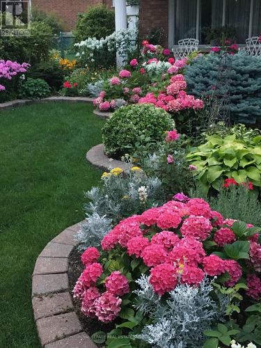 4085 Twine Crescent, Mississauga, ON - Outdoor