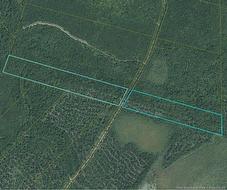 00 Woodlot 99 Chemin Richard - Saint-Norbert Saint-Norbert, NB E4S 2R4
