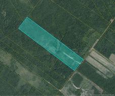 00 Woodlot Chemin Saint-Irenee  Saint-Maurice, NB E4S 5E7