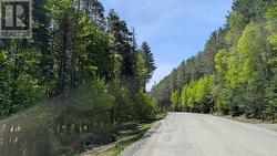 LOT 1 RED PINE TRAIL Bracebridge (Macaulay), ON P0B 1L0
