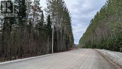 LOT 1 RED PINE TRAIL Bracebridge (Macaulay), ON P0B 1L0