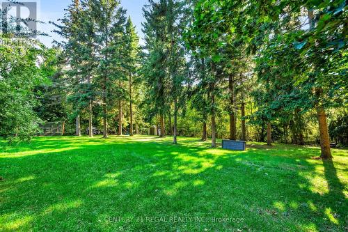 4434 Cedar Springs Road, Burlington, ON - Outdoor