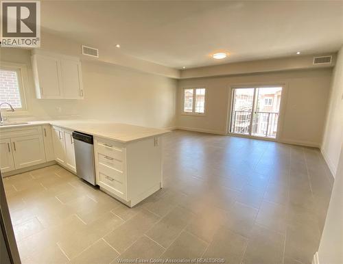 233 Watson Unit# 305, Windsor, ON - Indoor Photo Showing Kitchen