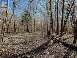 2494 HADLINGTON ROAD Highlands East (Monmouth), ON K0L 3K0