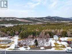 Lot 41 Shaheen Crescent Come By Chance, NL A0B 1N0