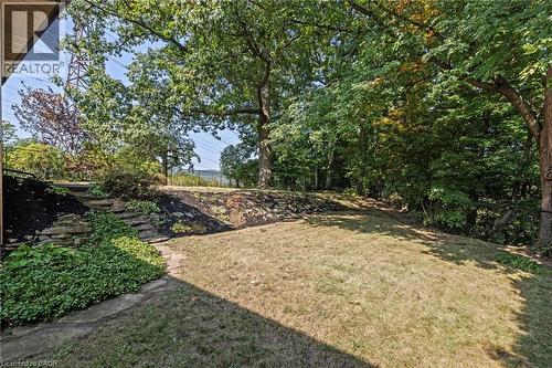 View of grassy yard - 40 Bertram Drive, Dundas, ON - Outdoor