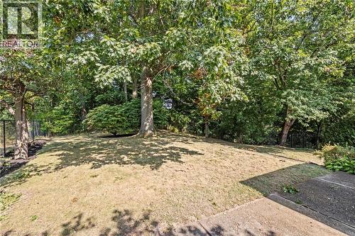 View of yard - 40 Bertram Drive, Dundas, ON - Outdoor