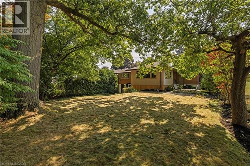 View of grassy yard - 40 Bertram Drive, Dundas, ON - Outdoor