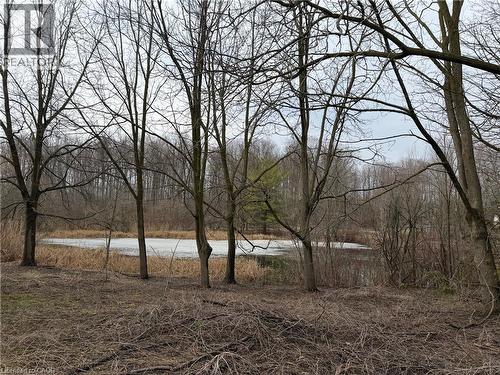 124 Autumn Hill Crescent, Kitchener, ON - Outdoor With View