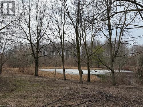 124 Autumn Hill Crescent, Kitchener, ON - Outdoor With View