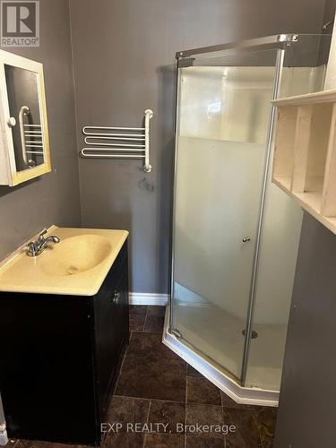 121 Boullee Street, London East, ON - Indoor Photo Showing Bathroom