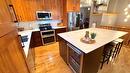 B-6 Alpine Trail Lane, Fernie, BC  - Indoor Photo Showing Kitchen With Stainless Steel Kitchen 
