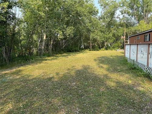 1 Birch Pl, Alexander Rm, MB 