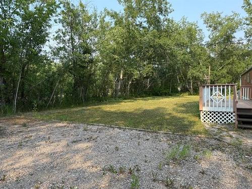 1 Birch Pl, Alexander Rm, MB 