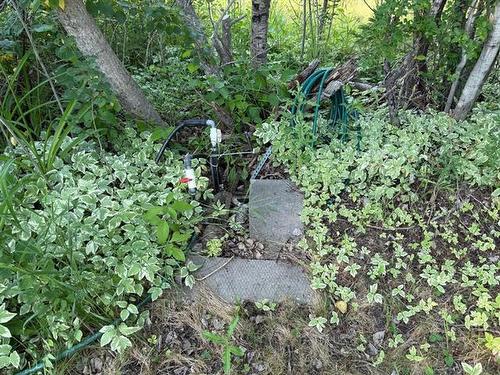 1 Birch Pl, Alexander Rm, MB 