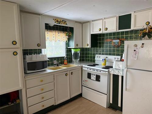 1 Birch Pl, Alexander Rm, MB 