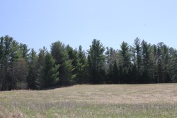 Terre/Terrain - 