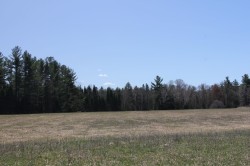 Terre/Terrain - 