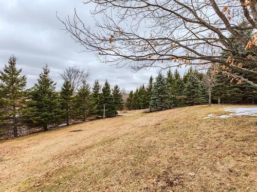 161 Highway 311 Loop, Balfron, NS 