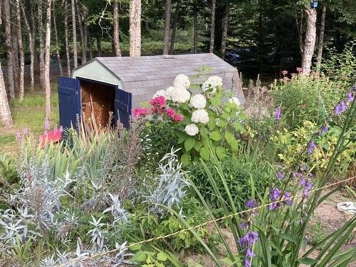 590 Gilberts Lane, Maplewood, NS 