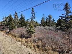 Highway 3 Charlesville, NS B0W 2E0