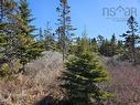 Highway 3, Charlesville, NS 