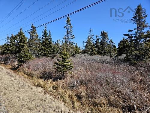 Highway 3, Charlesville, NS 
