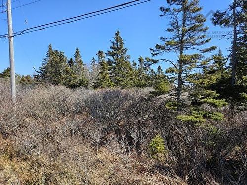 Highway 3, Charlesville, NS 