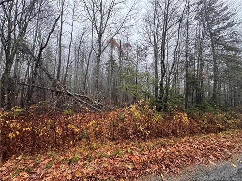 25-01 St. David Ridge Rd, Oak Bay, NB 