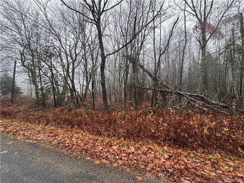 25-01 St. David Ridge Rd, Oak Bay, NB 