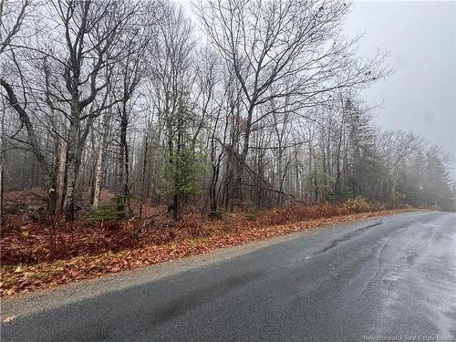 25-01 St. David Ridge Rd, Oak Bay, NB 