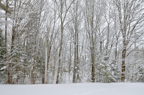 Vue - 3128 9E Avenue, Rawdon, QC - Outdoor