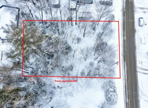 Aerial View - 